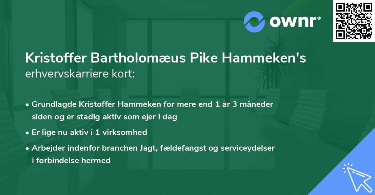 Kristoffer Bartholomæus Pike Hammeken's erhvervskarriere kort