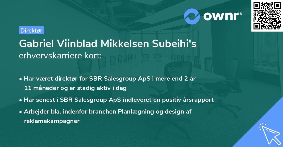 Gabriel Viinblad Mikkelsen Subeihi's erhvervskarriere kort