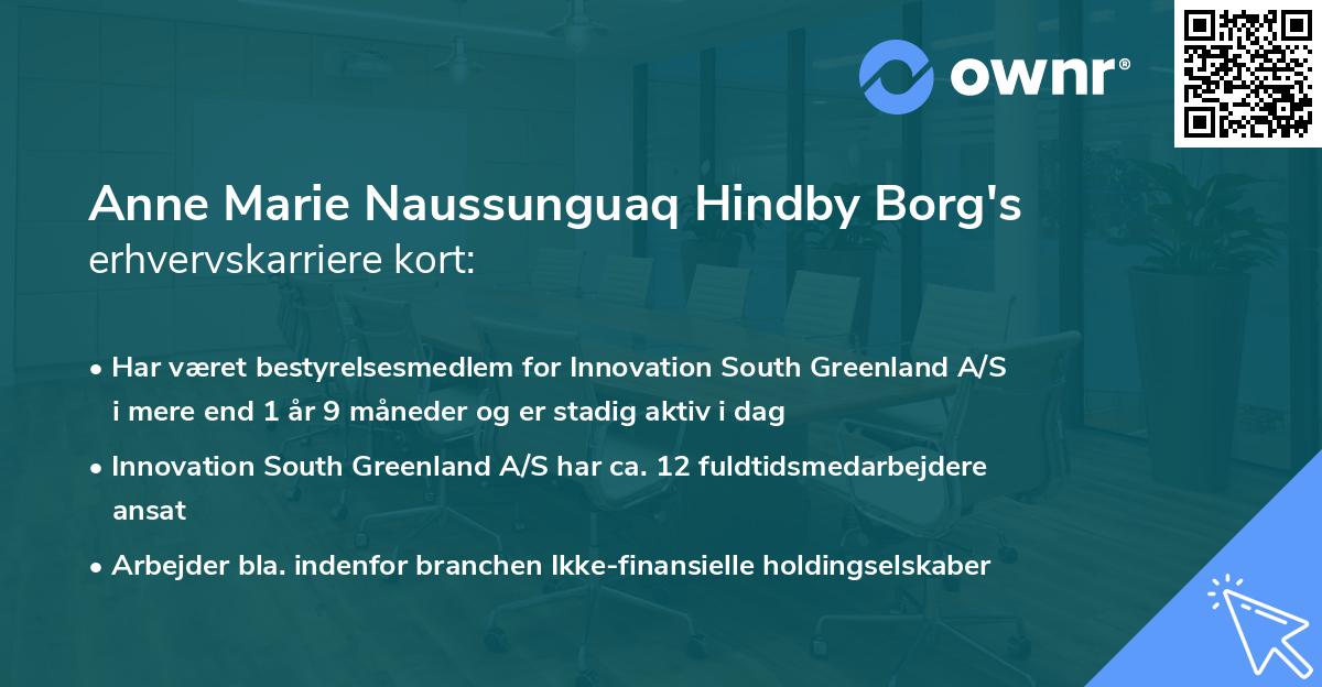 Anne Marie Naussunguaq Hindby Borg's erhvervskarriere kort