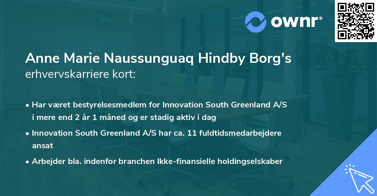 Anne Marie Naussunguaq Hindby Borg's erhvervskarriere kort