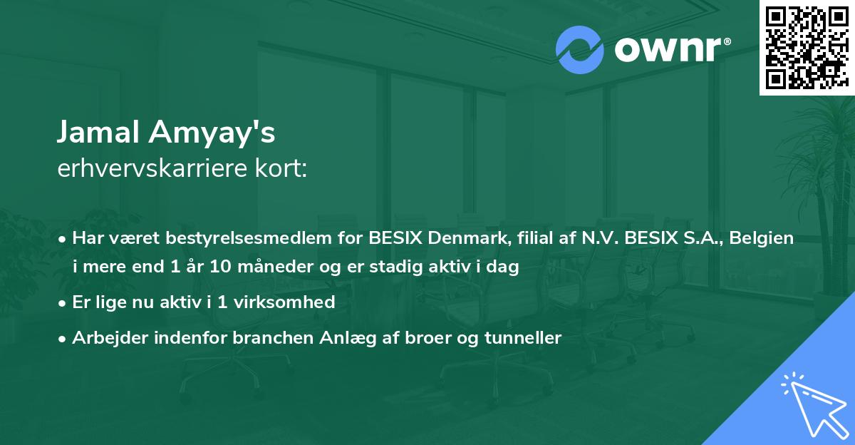 Jamal Amyay's erhvervskarriere kort