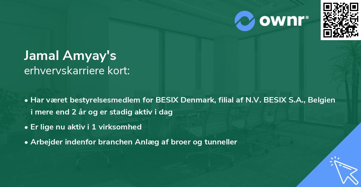 Jamal Amyay's erhvervskarriere kort