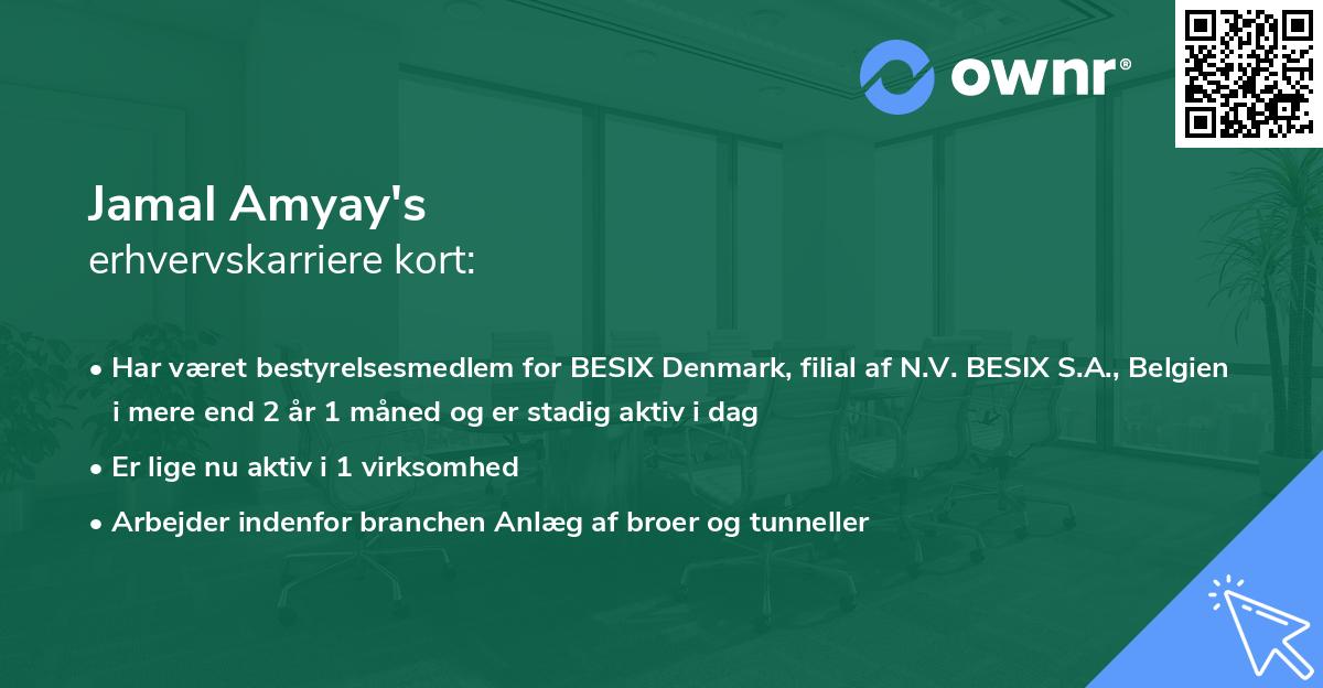 Jamal Amyay's erhvervskarriere kort