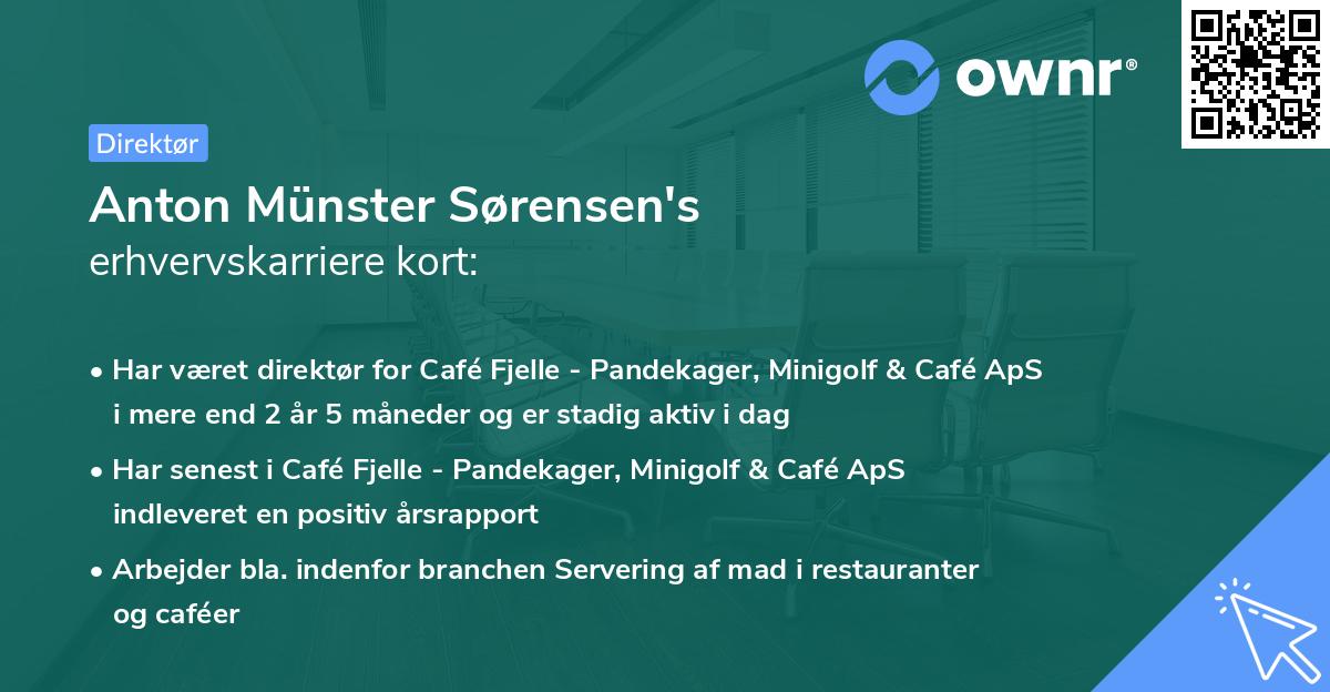 Anton Münster Sørensen's erhvervskarriere kort