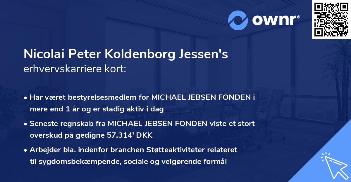 Nicolai Peter Koldenborg Jessen's erhvervskarriere kort