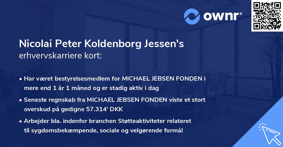 Nicolai Peter Koldenborg Jessen's erhvervskarriere kort