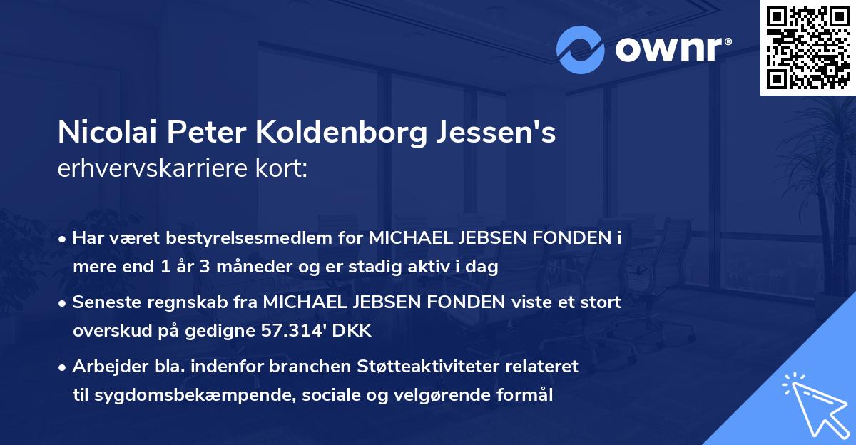 Nicolai Peter Koldenborg Jessen's erhvervskarriere kort