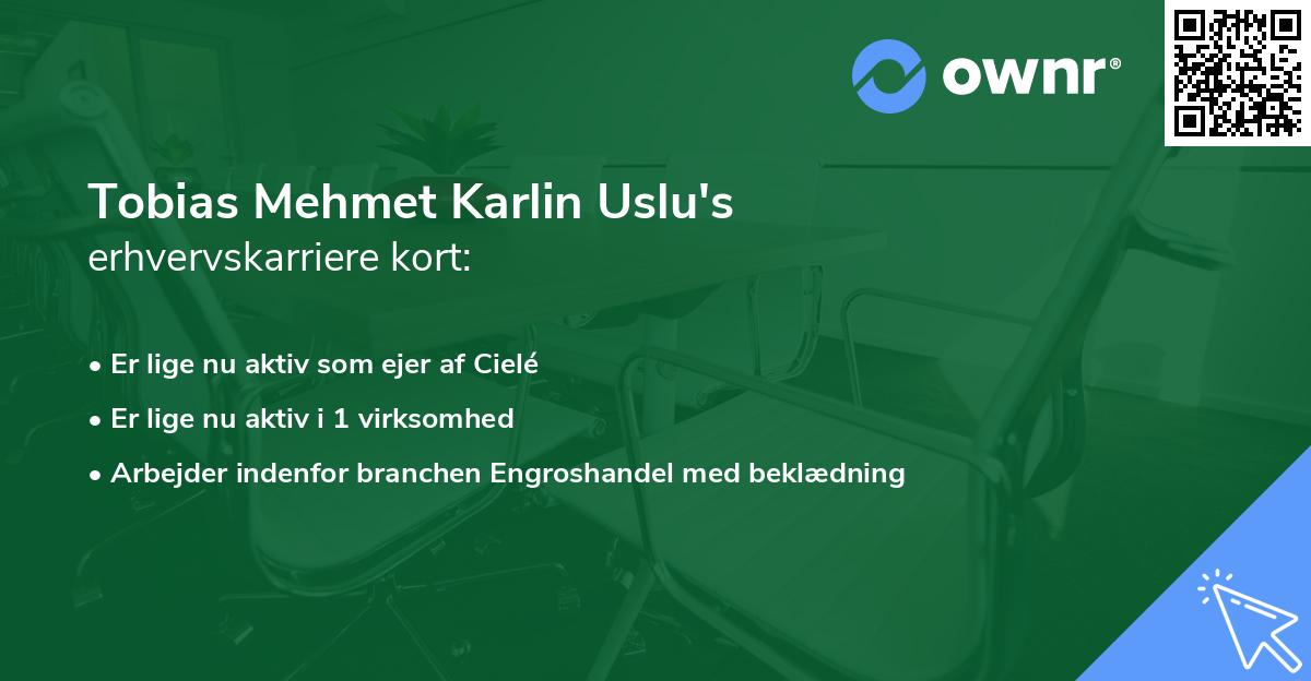Tobias Mehmet Karlin Uslu's erhvervskarriere kort