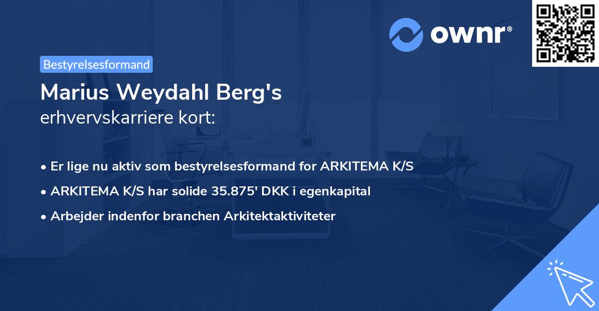 Marius Weydahl Berg's erhvervskarriere kort