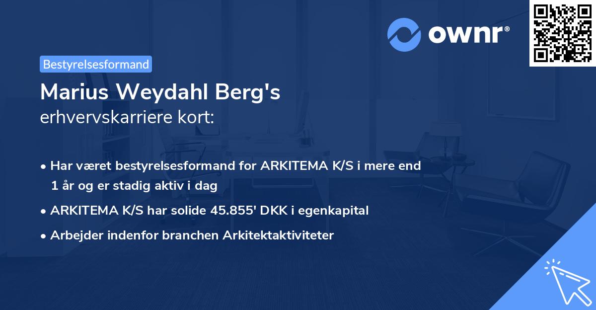 Marius Weydahl Berg's erhvervskarriere kort