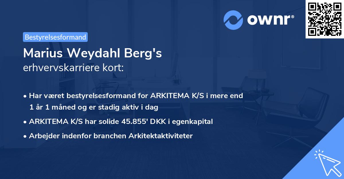Marius Weydahl Berg's erhvervskarriere kort