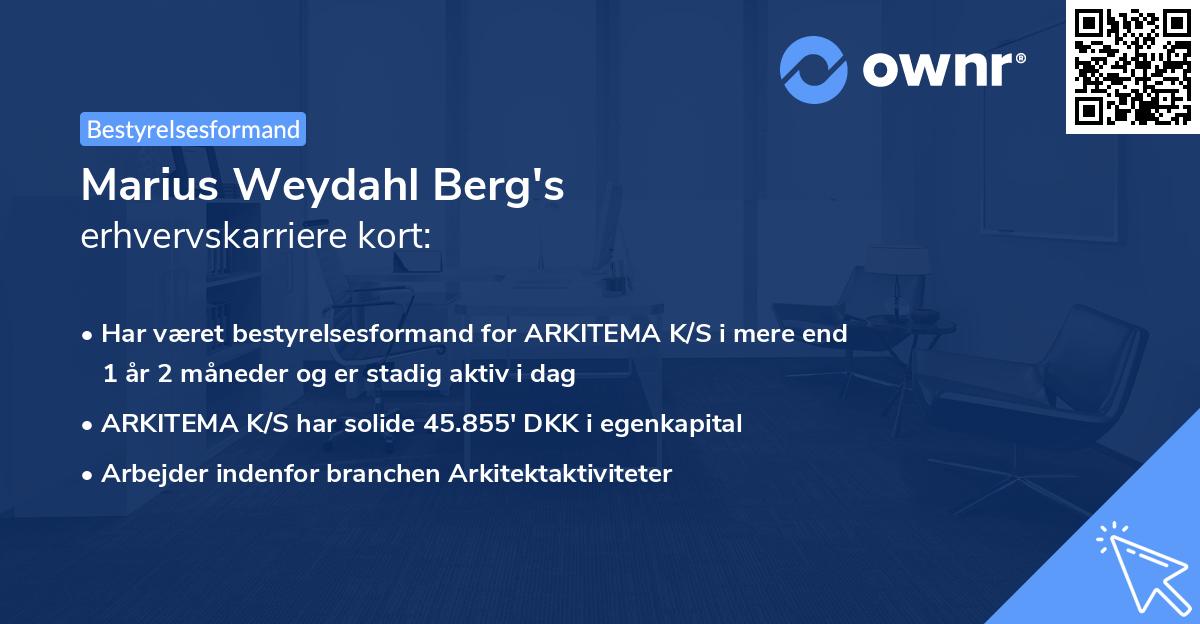Marius Weydahl Berg's erhvervskarriere kort