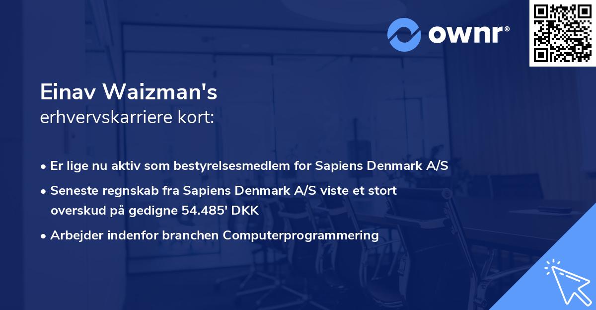 Einav Waizman's erhvervskarriere kort
