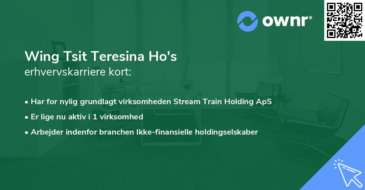 Wing Tsit Teresina Ho's erhvervskarriere kort