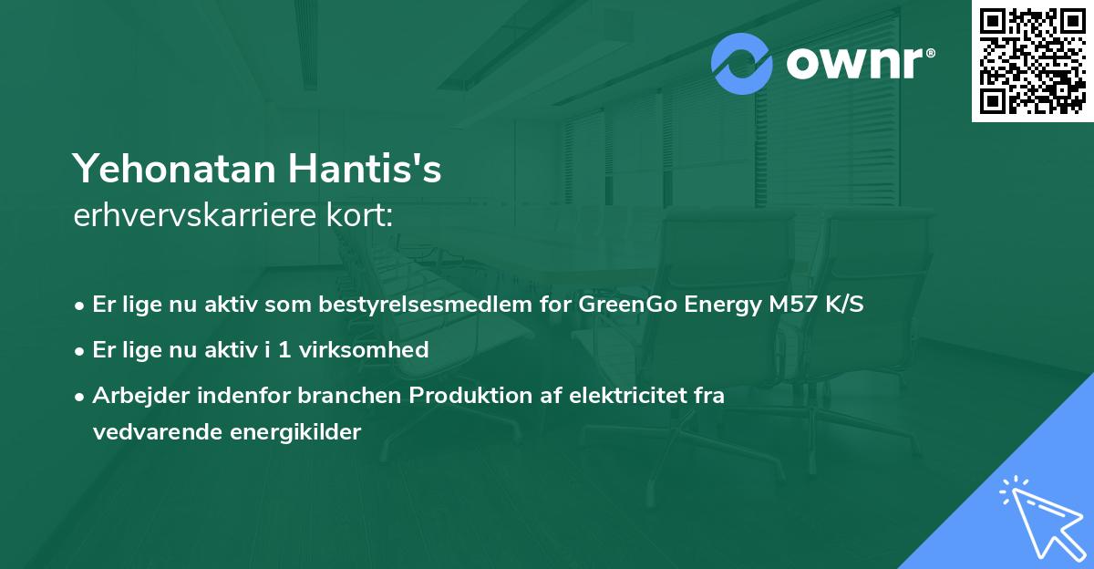 Yehonatan Hantis's erhvervskarriere kort
