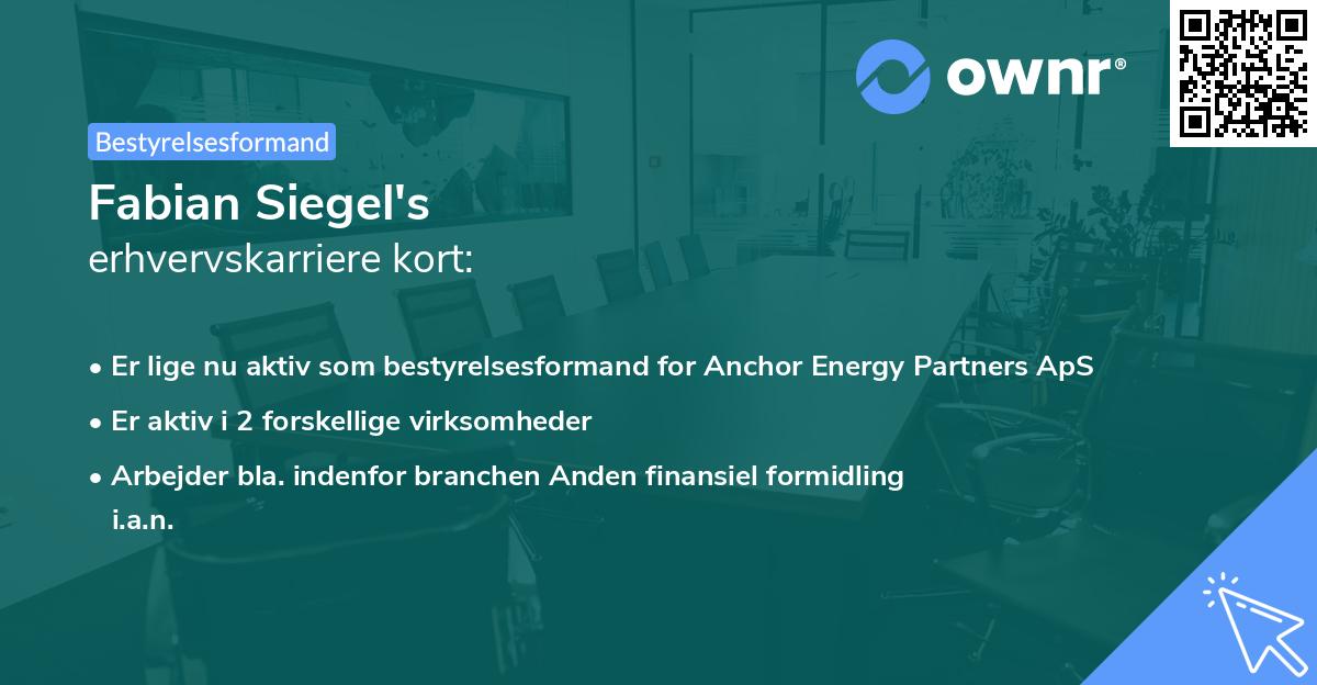 Fabian Siegel's erhvervskarriere kort