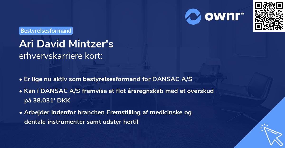 Ari David Mintzer's erhvervskarriere kort