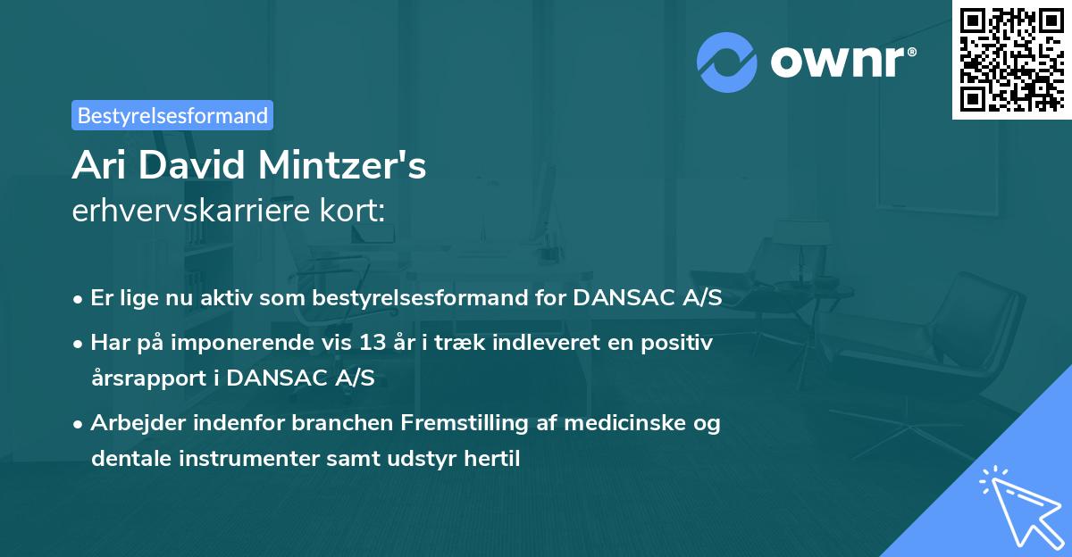 Ari David Mintzer's erhvervskarriere kort