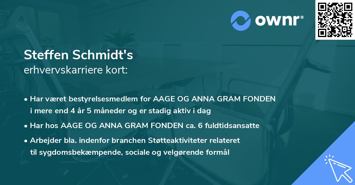 Steffen Schmidt's erhvervskarriere kort