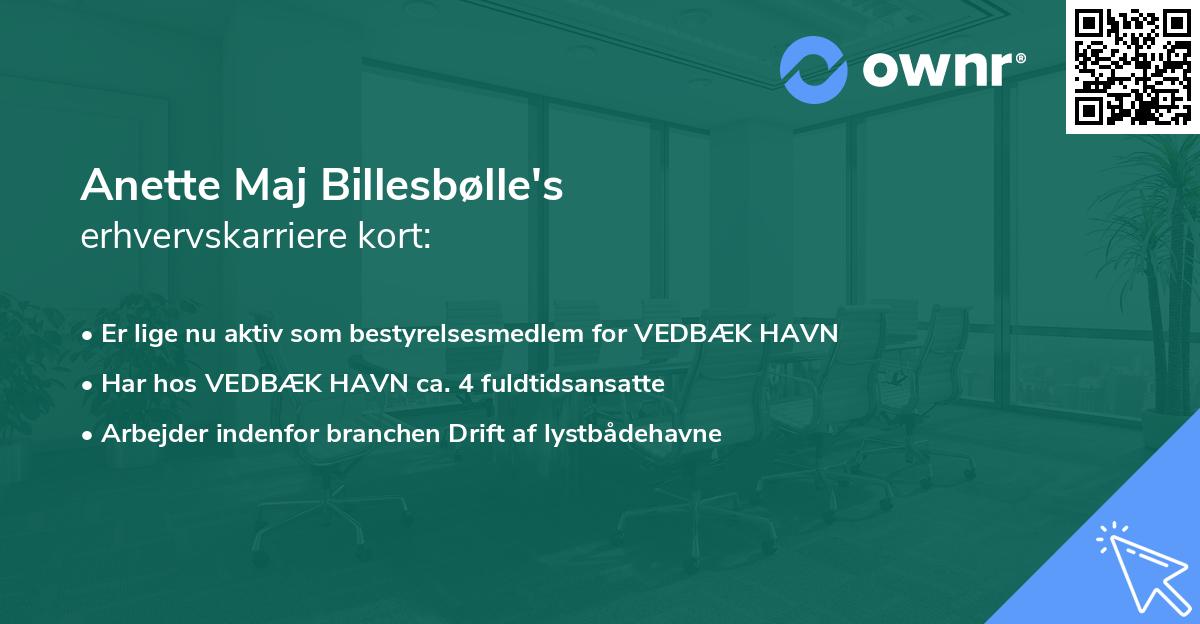 Anette Maj Billesbølle's erhvervskarriere kort