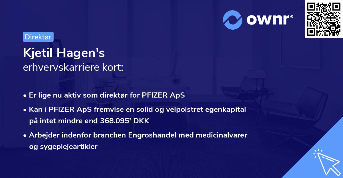Kjetil Hagen's erhvervskarriere kort