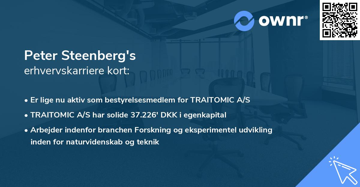 Peter Steenberg's erhvervskarriere kort