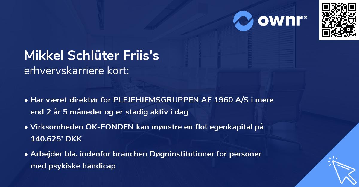 Mikkel Schlüter Friis's erhvervskarriere kort