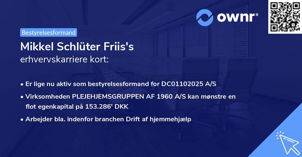 Mikkel Schlüter Friis's erhvervskarriere kort