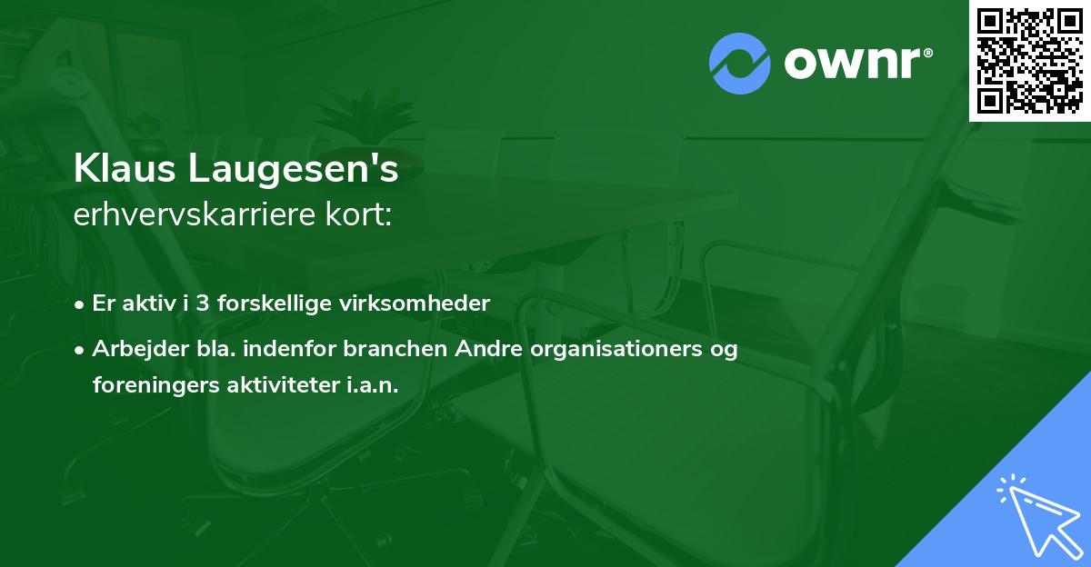 Klaus Laugesen's erhvervskarriere kort