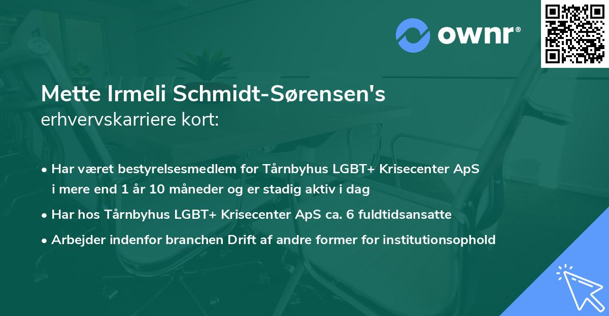Mette Irmeli Schmidt-Sørensen's erhvervskarriere kort