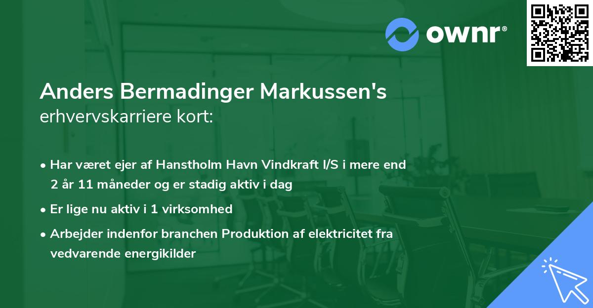 Anders Bermadinger Markussen's erhvervskarriere kort