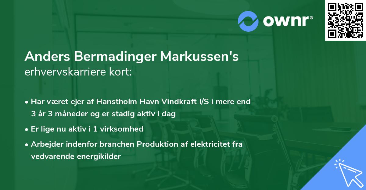 Anders Bermadinger Markussen's erhvervskarriere kort