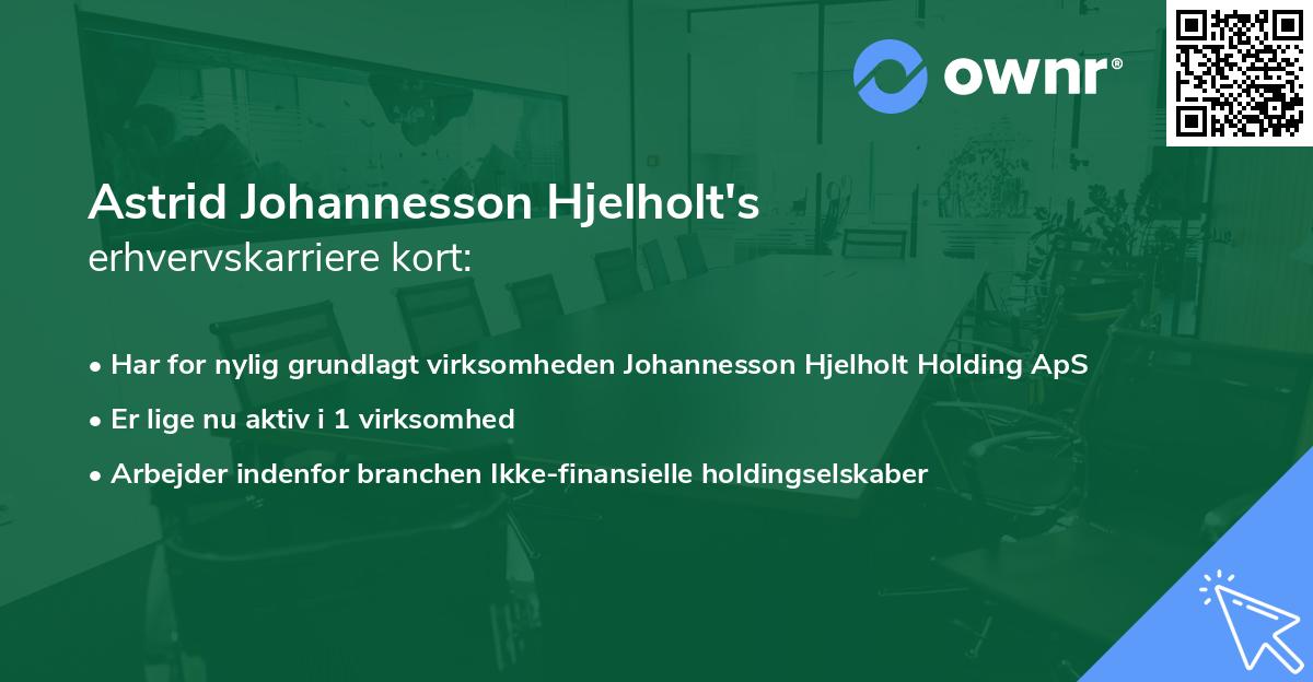 Astrid Johannesson Hjelholt's erhvervskarriere kort