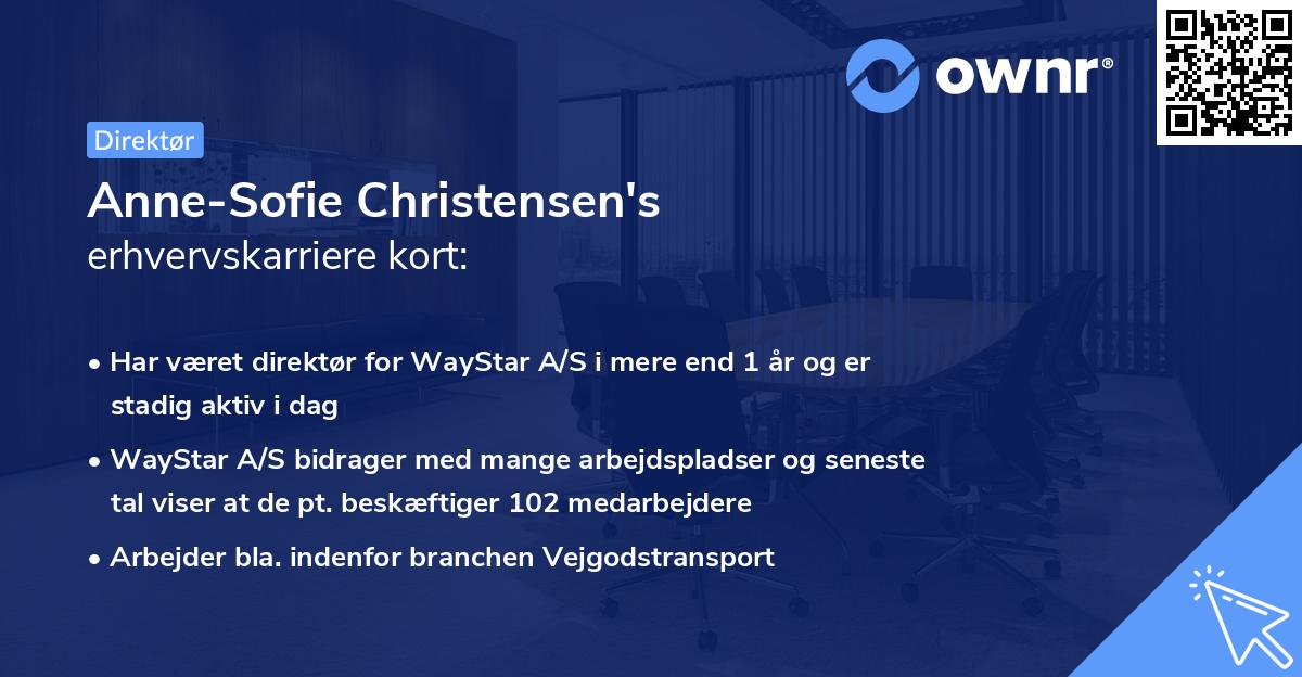 Anne-Sofie Christensen's erhvervskarriere kort