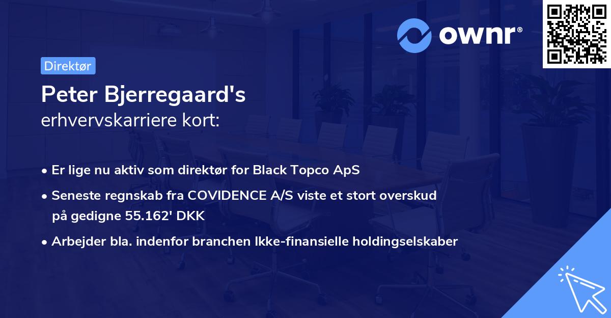 Peter Bjerregaard's erhvervskarriere kort