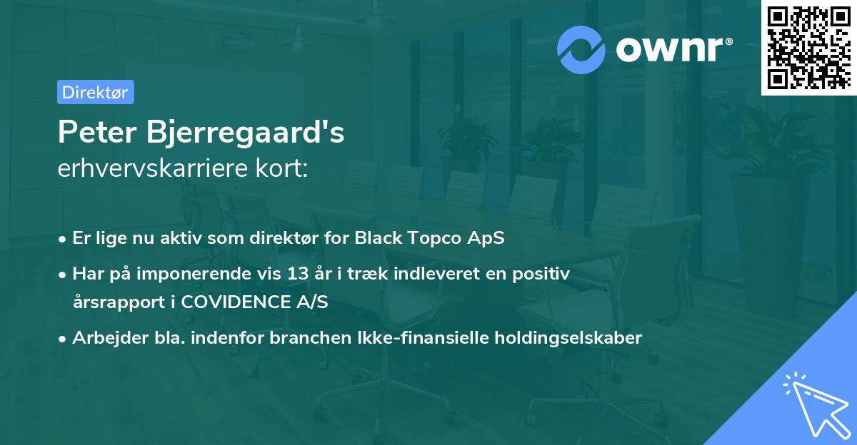 Peter Bjerregaard's erhvervskarriere kort