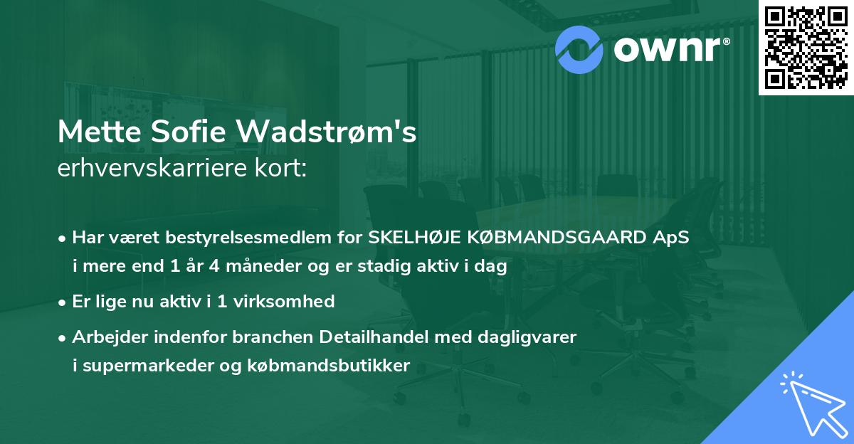 Mette Sofie Wadstrøm's erhvervskarriere kort