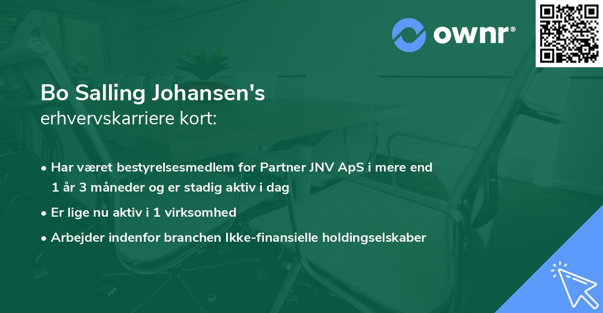 Bo Salling Johansen's erhvervskarriere kort