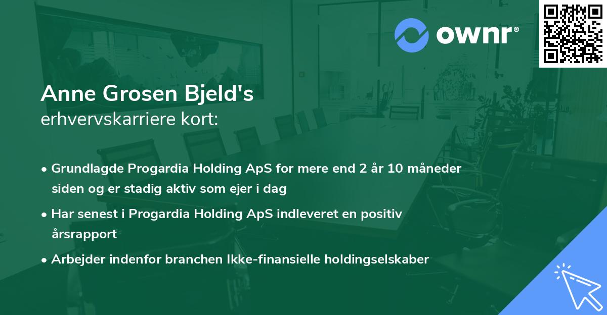 Anne Grosen Bjeld's erhvervskarriere kort