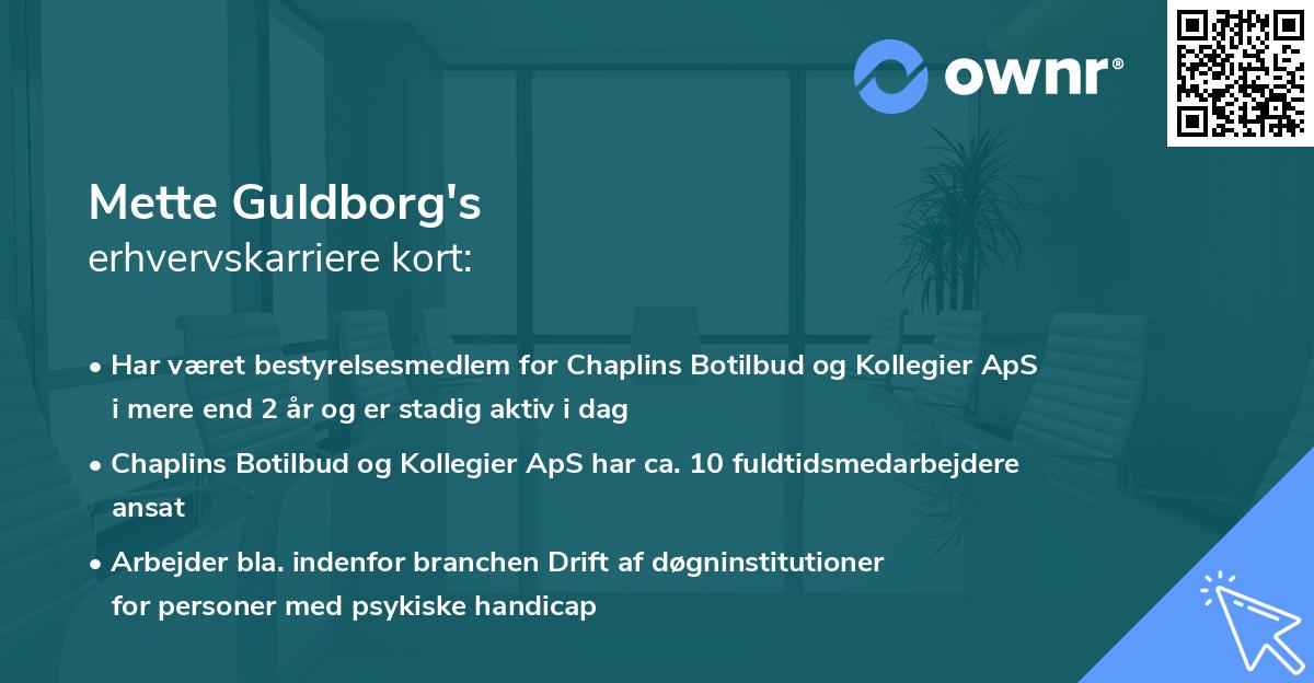 Mette Guldborg's erhvervskarriere kort