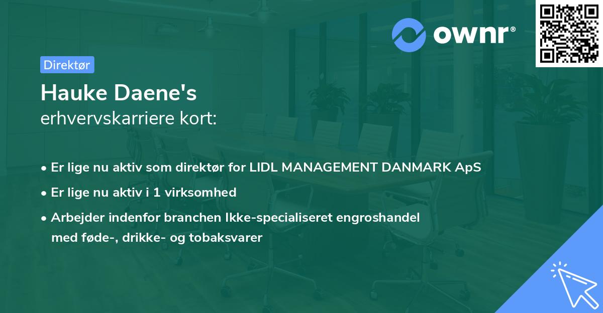 Hauke Daene's erhvervskarriere kort
