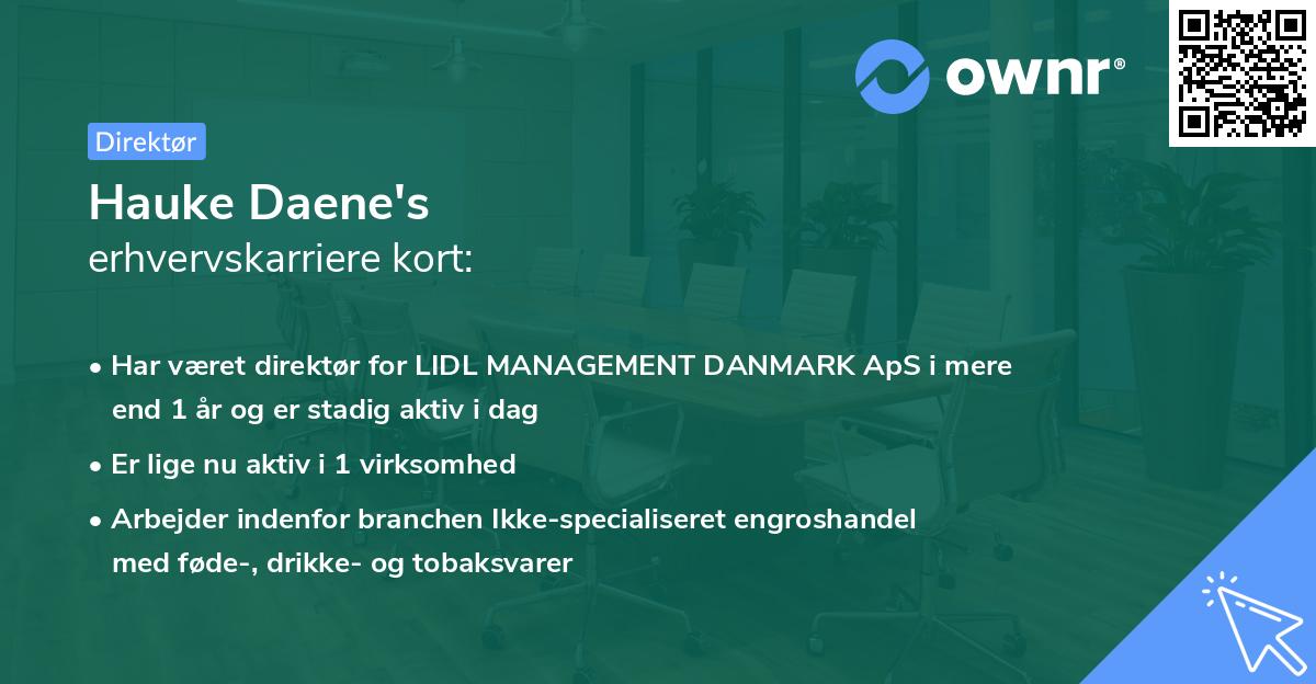 Hauke Daene's erhvervskarriere kort
