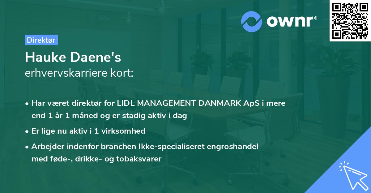 Hauke Daene's erhvervskarriere kort
