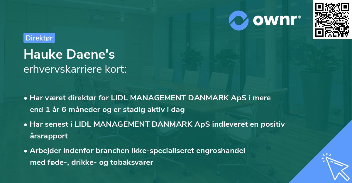 Hauke Daene's erhvervskarriere kort