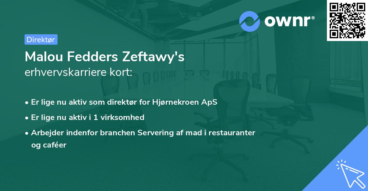 Malou Fedders Zeftawy's erhvervskarriere kort
