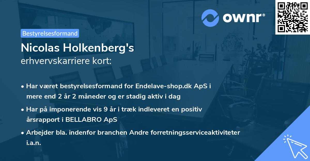 Nicolas Holkenberg's erhvervskarriere kort