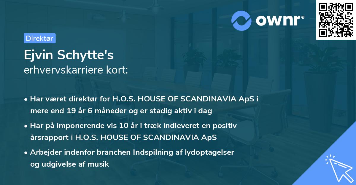 Ejvin Schytte's erhvervskarriere kort