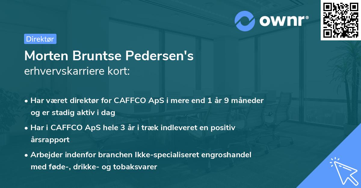 Morten Bruntse Pedersen's erhvervskarriere kort