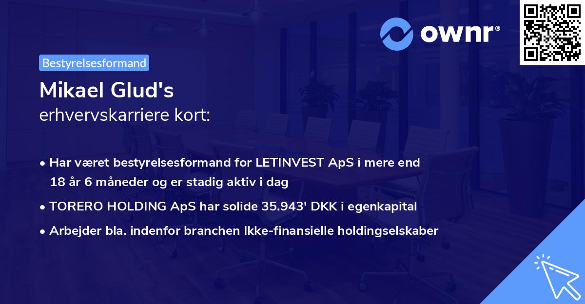 Mikael Glud's erhvervskarriere kort