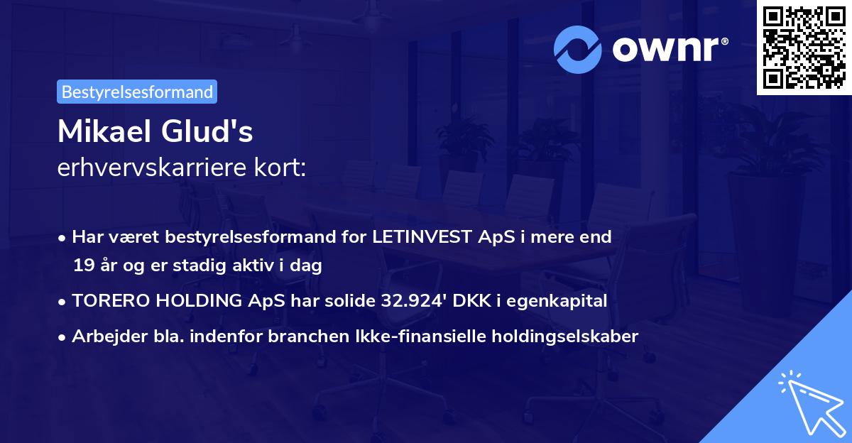 Mikael Glud's erhvervskarriere kort